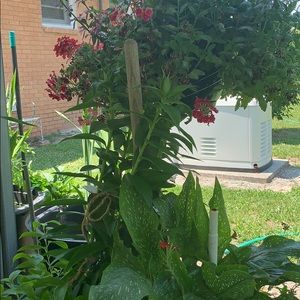 Meet your Posher, Norman